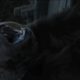 Illustration for article titled Extended emGame of Thrones/em trailer dives into the bear pit